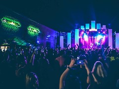 Vibe фестивал 2017