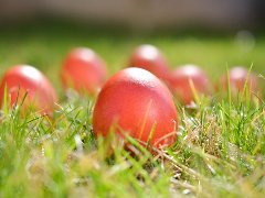 Dan u Beogradu: Farbanje jaja na Veliki petak