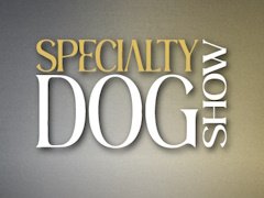 Speciality dog show