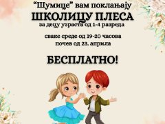 Школица плеса