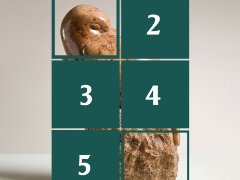 Музејске откривалице
